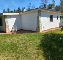 Dettagli